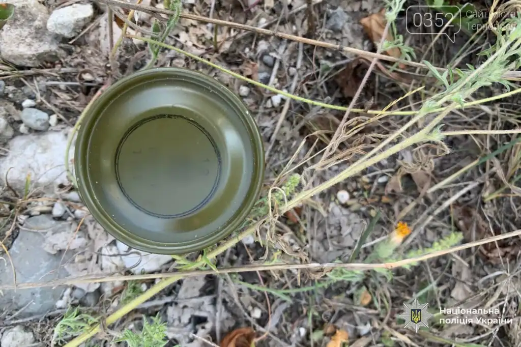 На Тернопільщині поліція затримала чоловіка з гранатою в кишені