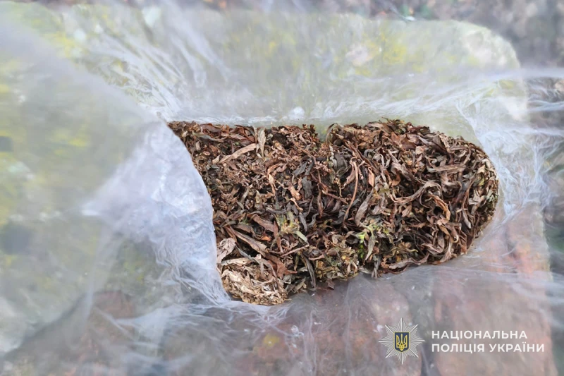 У Тернопільській області виявили два факти незаконного обігу наркотиків