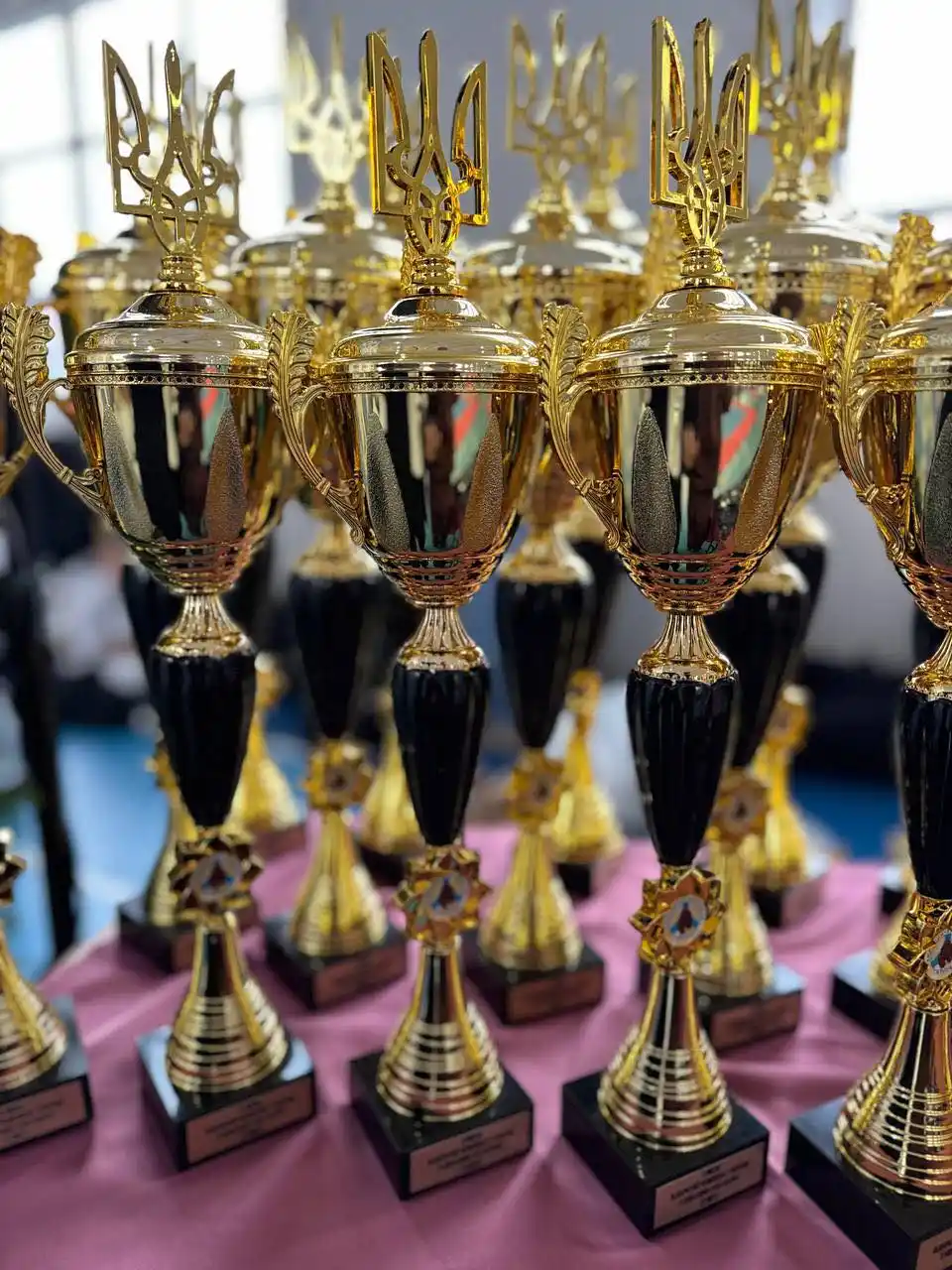 Тернопільські спортсмени успішно виступили на чемпіонаті України з кіокушин-кан у Мукачеві