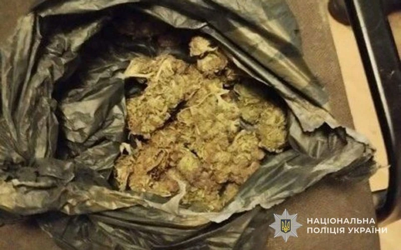 Подружжя з Великобірок під слідством за збут марихуани Подружжя з Великобірок під слідством за збут марихуани