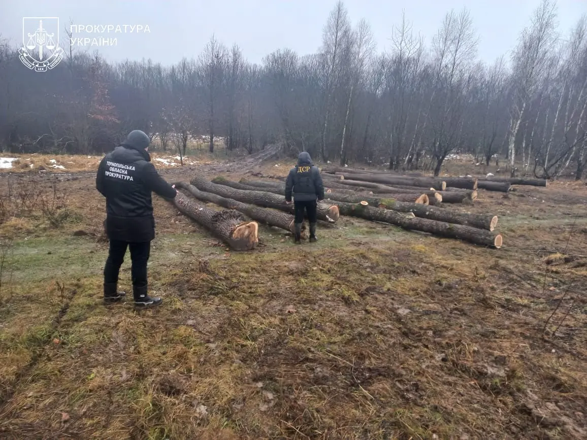 Фіктивні рубки і реальні наслідки: на Тернопільщині судитимуть лісівника