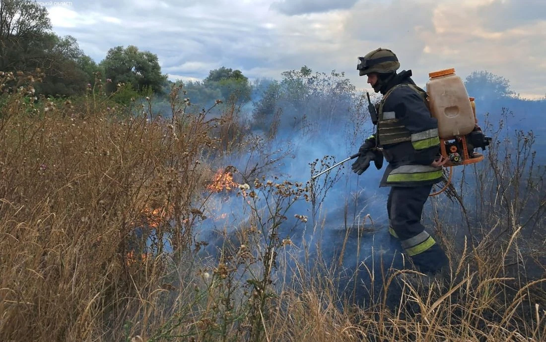 Вогняна стихія на Тернопільщині: після танення снігу область охопили масові підпали трави