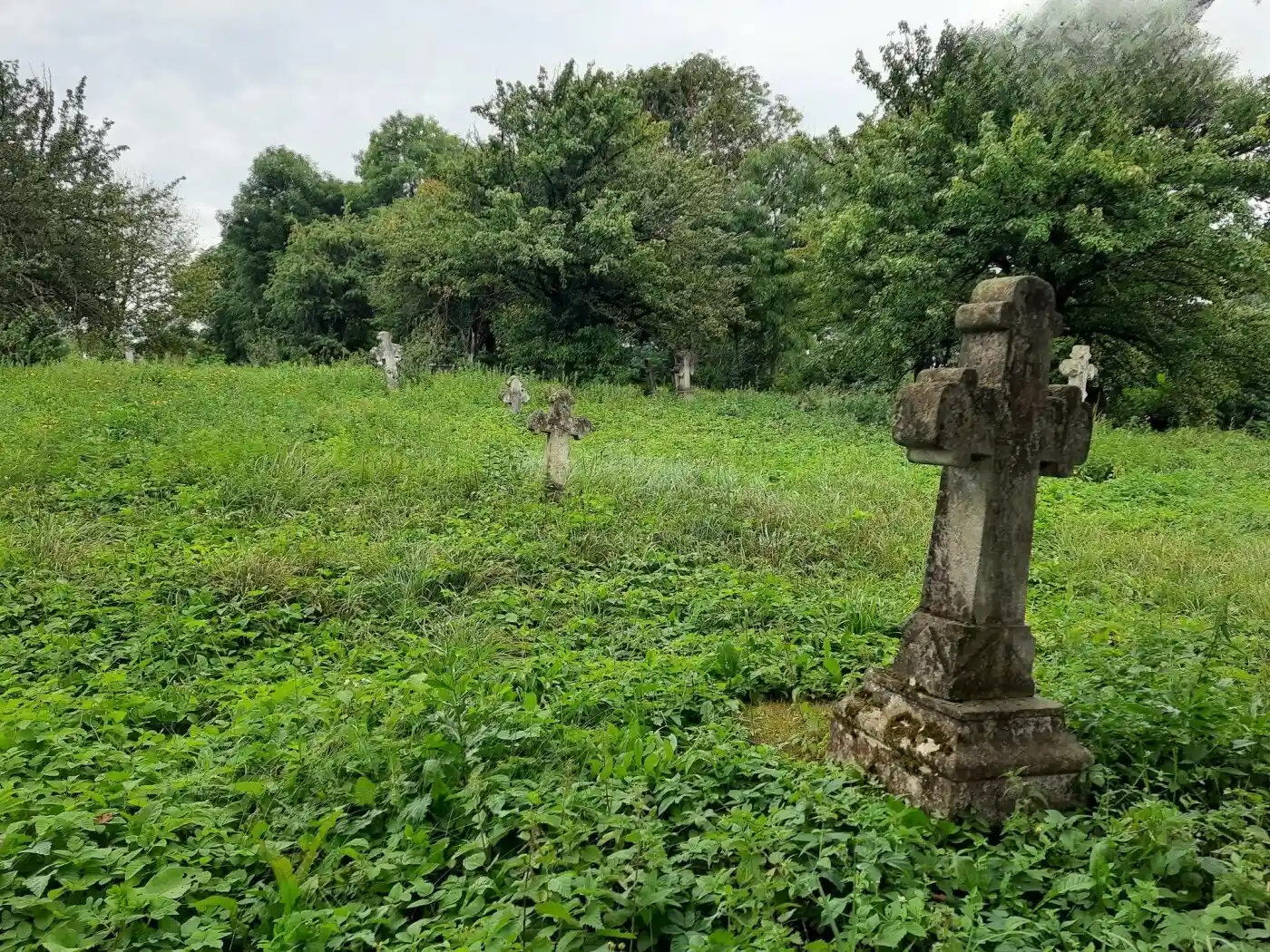 Маловідомий музей просто неба: чим вражає старовинна Новосілка на Тернопільщині