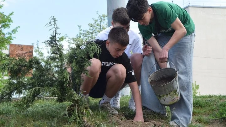 Пам’ять у кожному дереві: у Чорткові заклали унікальний шкільний сад