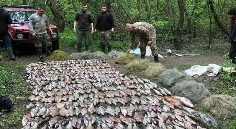 Понад 300 тисяч гривень збитків: на Тернопільщині судитимуть рибалок-браконьєрів